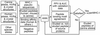 Tumor-specific neoantigen prediction pipeline