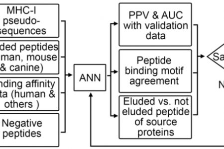 Tumor-specific neoantigen prediction pipeline